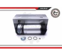ESEN SKV 58SKV063 Amortisseur pneumatique