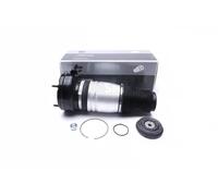 Amortisseur pneumatique Essieu avant Bossage en bas 58SKV069 ESEN SKV pour AUDI