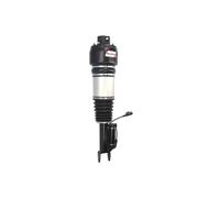 Magnum Technology APM003MT Amortisseur pneumatique