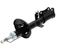 Amortisseur Porte arrière du véhicule A-TY-003 NTY NTY