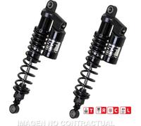 Amortisseur série G362 stéréo arrière Black Edition pour Compatible avec TRIUMPH Thruxton 1200/R (16-) RG362-390TRCL-20-B