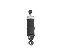 Amortisseur, suspension de cabine MAGNUM TECHNOLOGY MC106