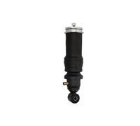Amortisseur, suspension de cabine MAGNUM TECHNOLOGY MC146
