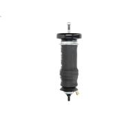 Amortisseur, suspension de la cabine MAGNUM TECHNOLOGY MC164 pour T 11.705 2004-