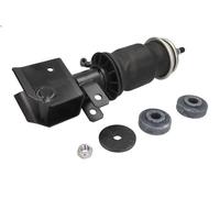 Amortisseur, suspension de la cabine MONROE CB0070 pour MAGNUM 11.929 1996-