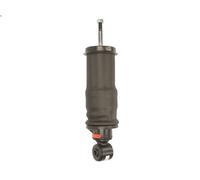 Amortisseur, suspension de la cabine MONROE CB0195 pour T 11.705 2004-2005