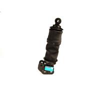 Amortisseur, suspension de la cabine SACHS 313 072 pour PREMIUM 6.177 1996-