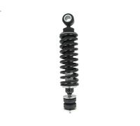 Amortisseur, suspension de la cabine SACHS 315 587 DAF 95 XF 12.58 1997-2002
