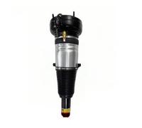 Amortisseurs Avant 1 Pièce Pour A6 Pour S6 Pour A6L Pour A7 Pour S7 Pour RS6 Pour RS7 Amortisseur Suspension Pneumatique Avant 4H0616039D 3Y5616040F(À droite)