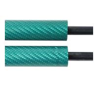 Amortisseurs Capot Avant Entretoises Gaz Support Levage Tige Piston Pilier Amortisseur Pour Peugeot 208 1er 2012 2013 2014-2019 Verin Hydraulique De Capot(Carbon Fiber Green)