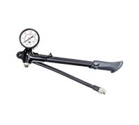 Amortisseurs Fox 300psi Pump Or