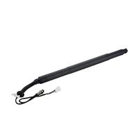 Amortisseurs Ressorts de Suspension 51247434044 vérin de hayon électrique Amortisseur d'ouverture pour BMW X6 F16 F86 20142018 (hayon Droit)