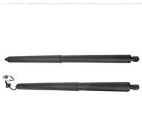 Amortisseurs Tige Paire De Vérins À Gaz Pour Hayon Électrique GB5Z14B351A GB5Z78406A10A Pour Ford Pour Explorer 2016 2017 2018 2019 Contrefiche(1 paire)