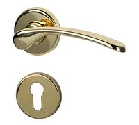 Amos alpertec-r poignée de porte en laiton poli pour wohnungseingangstüren pZ r de la marque haeusler-shop poignée de porte, 32740513