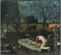 Amos, Tori - Caught a Lite Sneeze