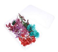 Amosfun 1 Boîte Kit de Fleurs Séchées Naturelles pour DIY Matériaux Artisanaux pour Décoration et Accessoires Fleurs Pressées à Fait Main pour Cadres Téléphones et Objets