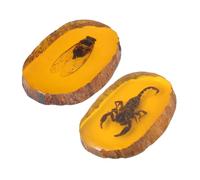 Amosfun 2 Pièces pendentif ambre charme Échantillons spécimen bijoux pendentif insecte accessoires et pendentifs pierre à insectes collier d'insectes décor ambre résine Jaune
