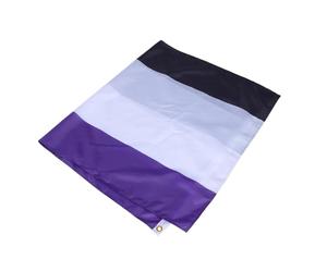 Amosfun Bannière de Fierté Diversité Asexuelle en Polyester, Légère et Solide Design Arc-en-ciel Inclusif, pour Événements et Rassemblements Communautaires