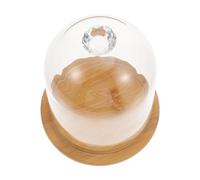 Amosfun Dôme de Verre Transparent 9x13 Cm Socle en Bambou pour Fleurs Éternelles, Cloche D'exposition Décorative et Vitrine de Table pour Micro-paysages et Objets Décoratifs