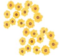 Amosfun Fleurs Séchées et Pressées Naturelles Marguerites Séchées DIY 24 Pièces 2,5-4 Cm pour Décoration Artisanale Scrapbooking Manucure et Accessoires Faits Main