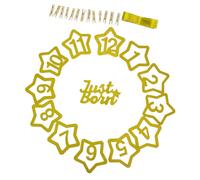 Amosfun Guirlande Photo à Pinces 12 Mois Bébé, Bannière à Paillettes Étoile 1er Anniversaire, Décoration Fête Garçon et Filles, Bannière Évolutive pour Souvenirs et Photos