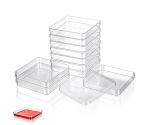 Amosfun Lot De 10 Boîtes De Pétri De Laboratoire En Plastique Transparent Avec Couvercles Boîte De Pétri 10X10 Cm Pour Culture Cellulaire Microbiologie Chimie Botanique Et Projets Scientifiques