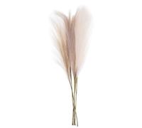 Amosfun Lot de 6 Herbes Pampa Artificielles Duveteuses, Composition Déco Mariage en Roseaux Beige, Jaune Clair et Café Clair, Décoration Intérieure et Bouquet pour Table, Style Rustique