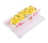 Amosfun Modèle de Cellule Végétale Épidermique D’Oignon Agrandi Modèle Pédagogique Anatomique Solide pour Laboratoire Scientifique Outil Éducatif en Biologie pour Classe et Expérience