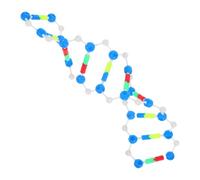 Amosfun Modèle Éducatif de Adn pour Étudiants Structure Double pour Enseignement Génétique et Moléculaire Salle de et Laboratoire
