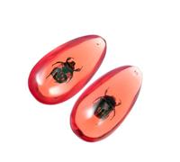 Amosfun Pendentif avec Insecte Charm de Bijoux Unique pour Colliers Bracelets et Boucles Oreilles Accessoire de Création de Bijoux Élégant et Pratique