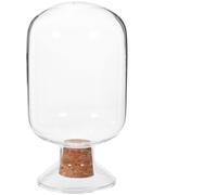 Amosfun Pot à Allumettes en Verre Transparent 250ml Bouchon en Liège, Bocal de Rangement Multifonction pour Maison et Décoration, Fournitures D'allumettes Pratique et Élégant