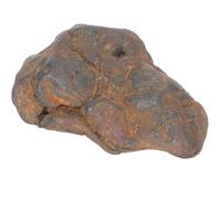 Amosfun Spécimen Pédagogique de Météorite Olivine 2-3 Cm en Fer Naturel, Modèle Scientifique Éducatif pour Salle de Classe et Décoration, Échantillon Authentique pour Recherche