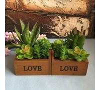 AMOUR Bassin en bois Bureau Lotus Plantes succulentes Pot de fleurs Jardin Bonsaï - #2
