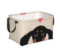 Amour de chiot teckel, Paniers de rangement avec poignée, panier à linge décoratif pour la maison