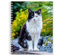 Amoureux des chats | Calendrier hebdomadaire de fiançailles à spirale 2026 15,2 x 19,5 cm | Nouvelle image en couleur chaque semaine | BrownTrout | Animaux chatons domestiques félins