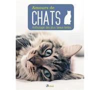 Amours de chat Collectif (Auteur)