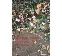 Amours défendues Alissa York (Auteur), Florence Lévy-Paoloni (Traduction)