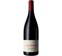 Ampelomeryx Rouge 2023 - Pellehaut