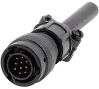 Amphenol 62IN 16A 10 6P/4A Cosse cylindrique mâle mâle, droit Nombre total de pôles: 6 Série (connecteur rond): 62IN 1 pc(s)