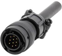 Amphenol 62IN 16A 12 8P/6A Cosse cylindrique mâle mâle, droit Nombre total de pôles: 8 Série (connecteur rond): 62IN 1 pc(s)