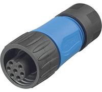 Amphenol C016 10D006 010 10 Cosse cylindrique mâle femelle, droit Nombre total de pôles: 6 + PE Série (connecteur rond)