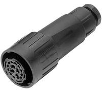 Amphenol C016 10E017 002 1 Cosse cylindrique mâle femelle, droit Nombre total de pôles: 17 + PE Série (connecteur rond): C016 1 pc(s)