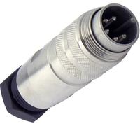 Amphenol C091 31H005 100 2 Cosse cylindrique mâle mâle, droit Nombre total de pôles: 5 Série (connecteur rond): C091 1 pc(s)