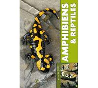 Amphibiens Et Reptiles