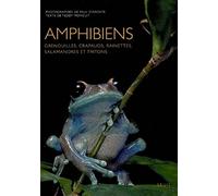 Amphibiens: Grenouilles, crapauds, rainettes, salamandres et tritons