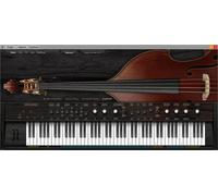 Ample Sound Ample Sound Ample Bass Upright v4