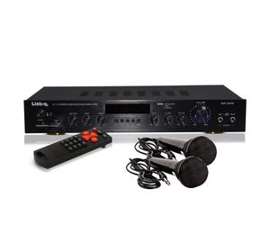 Amplificateur 240 W Party USB Receiver Système de musique AUX Bluetooth MP3 en kit avec deux microphones