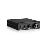 Amplificateur audio, Amplificateur de caisson basses 300 W, amplificateur haut-parleur HIFI, puissance sonore mono, ampli domestique Pour la maison et le karaoké