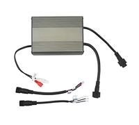 Amplificateur audio de voiture 100 W 2 canaux amplificateur de caisson de basses haute puissance 12 V HIFI amplificateur d'effet sonore intelligent pour système stéréo de voiture