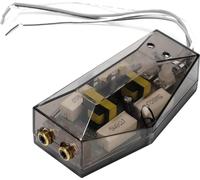Amplificateur audio universel 12 V portable Caisson de basses Convertisseur audio haut de gamme pratique